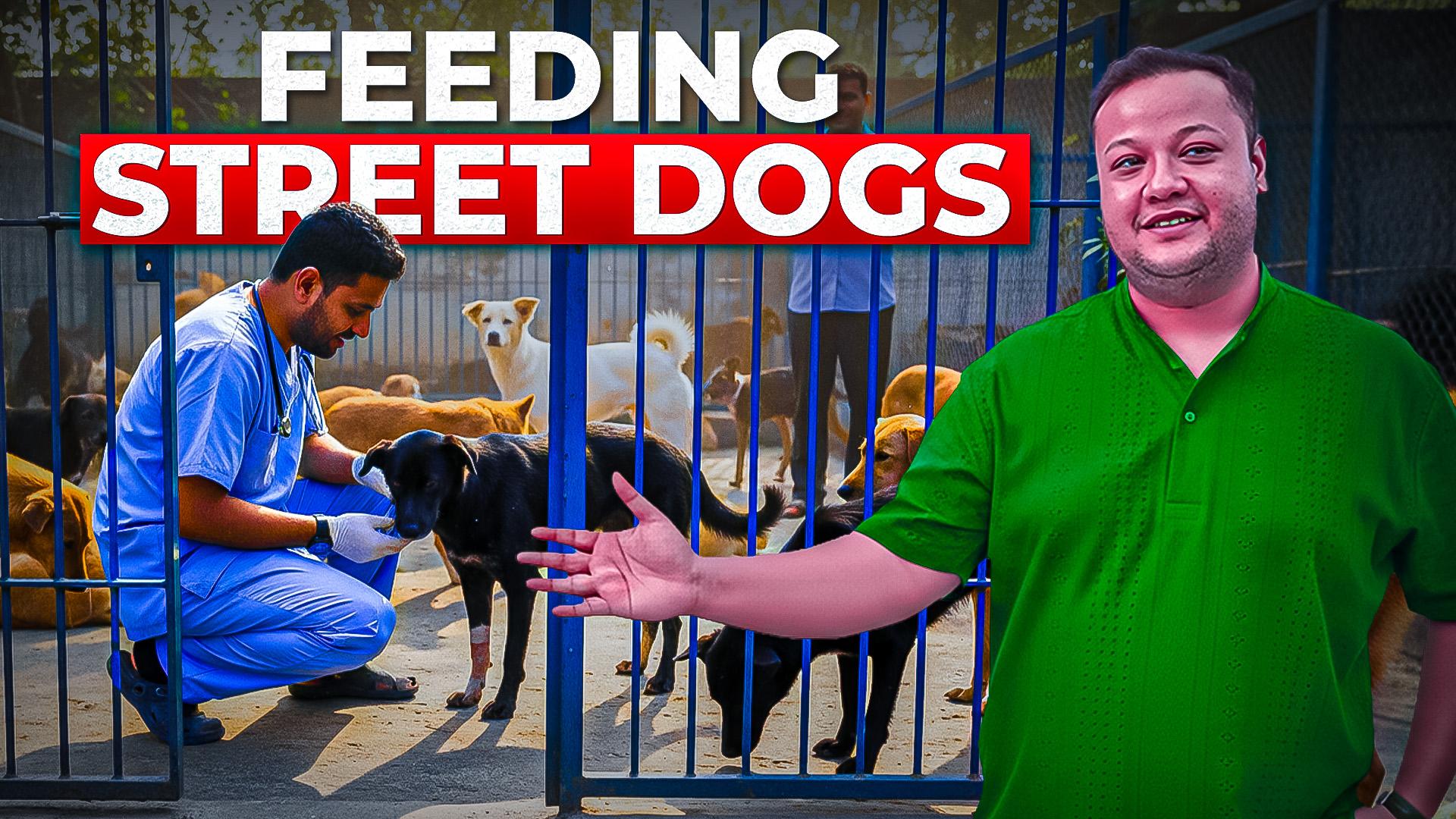 T’s Your Palate hands With Kathmandu locals to Feed street dogs.